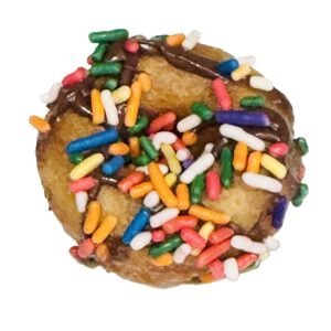 Sprinkle chocolate - Dozen (12 mini donuts)