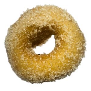 Cinnamon Sugar - Dozen (12 mini donuts)